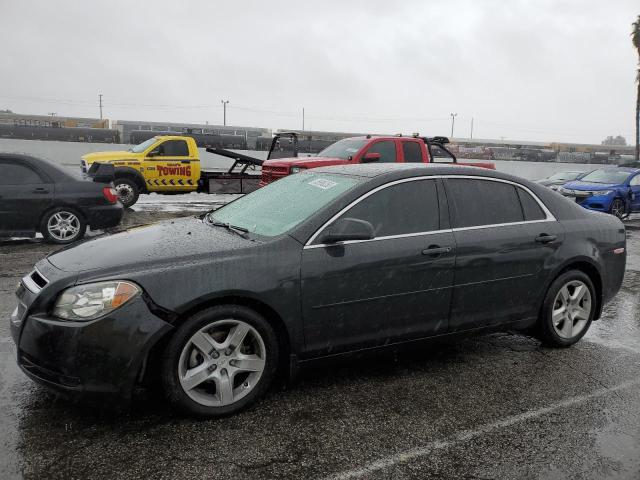 CHEVROLET MALIBU LS 2012 with VIN 1G1ZB5E0XCF351404 - Photo from auction