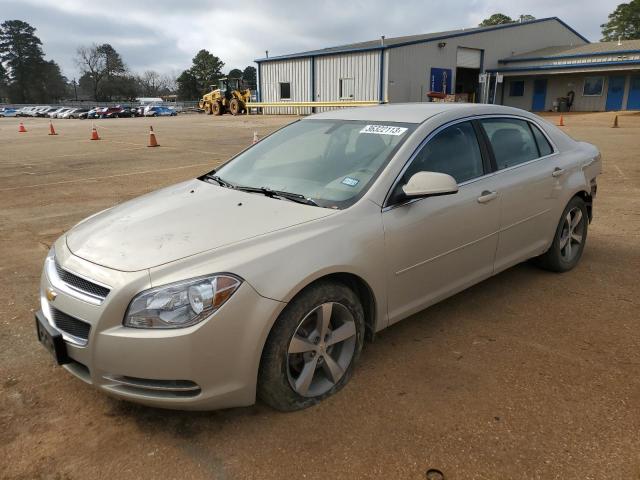 CHEVROLET MALIBU 1LT 2011 with VIN 1G1ZC5E15BF292346 - Photo from auction
