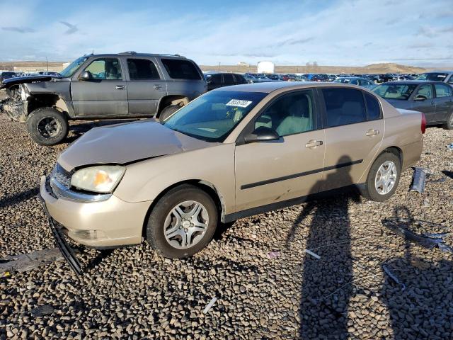 CHEVROLET MALIBU 2005 with VIN 1G1ZS52F85F106144 - Photo from auction