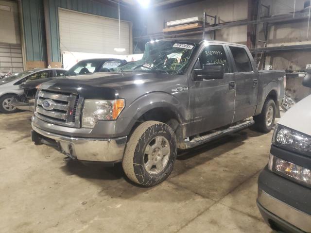FORD F150 SUPER 2010 with VIN 1FTEW1E83AFC56253 - Photo from auction