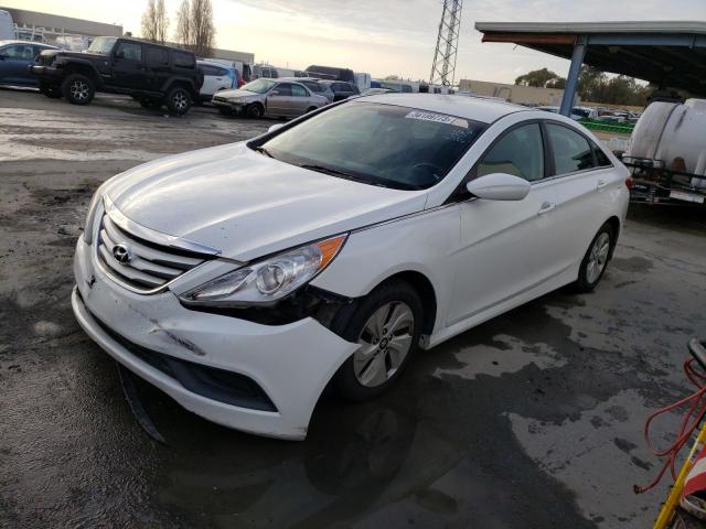 HYUNDAI SONATA GLS 2014 with VIN 5NPEB4ACXEH813601 - Photo from auction