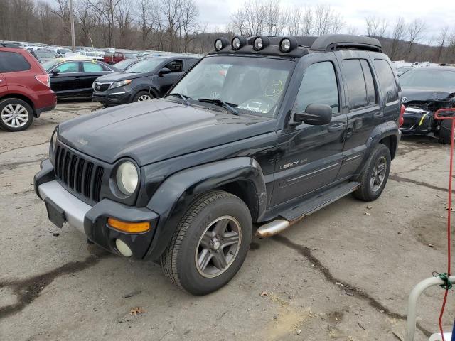 JEEP LIBERTY RE 2003 with VIN 1J4GL38K03W592931 - Photo from auction