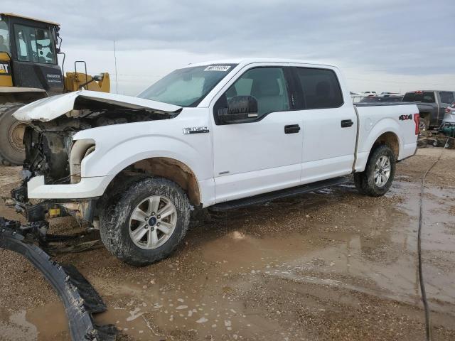 Photo 1 from auction – 2017 FORD F150 SUPER with VIN 1FTEW1EP2HKE38843