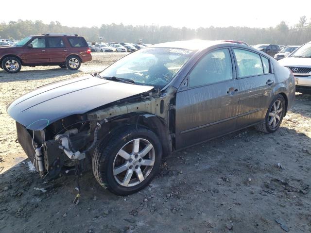 NISSAN MAXIMA SE 2005 with VIN 1N4BA41E75C827206 - Photo from auction