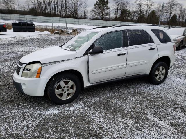 CHEVROLET EQUINOX LS 2005 with VIN 2CNDL23F956140160 - Photo from auction