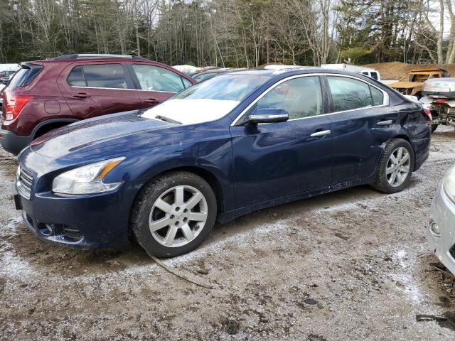 NISSAN MAXIMA S 2010 with VIN 1N4AA5APXAC813894 - Photo from auction