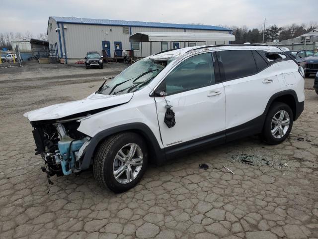 GMC TERRAIN SL 2019 with VIN 3GKALMEV3KL233730 - Photo from auction