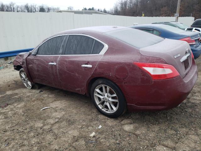 Photo 2 from auction – 2010 NISSAN MAXIMA S with VIN 1N4AA5AP0AC843390
