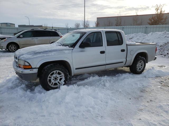 DODGE DAKOTA QUA 2003 with VIN 1D7HL48N53S367752 - Photo from auction