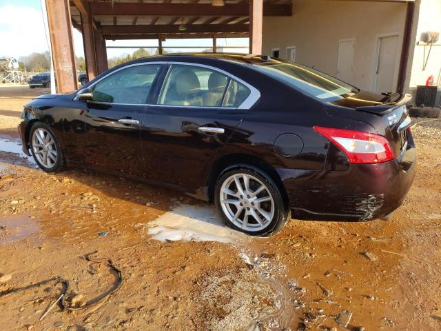 Photo 2 from auction – 2010 NISSAN MAXIMA S with VIN 1N4AA5AP8AC859188
