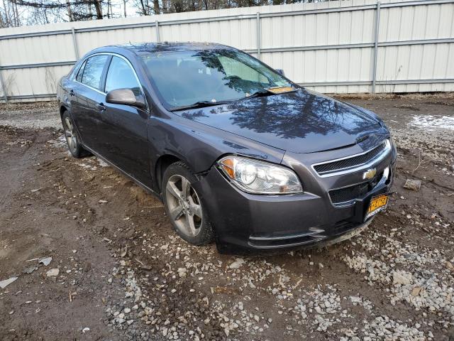 Photo 4 from auction – 2011 CHEVROLET MALIBU 1LT with VIN 1G1ZC5E13BF116797
