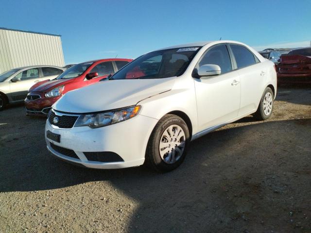 KIA FORTE EX 2013 with VIN KNAFU4A24D5693487 - Photo from auction