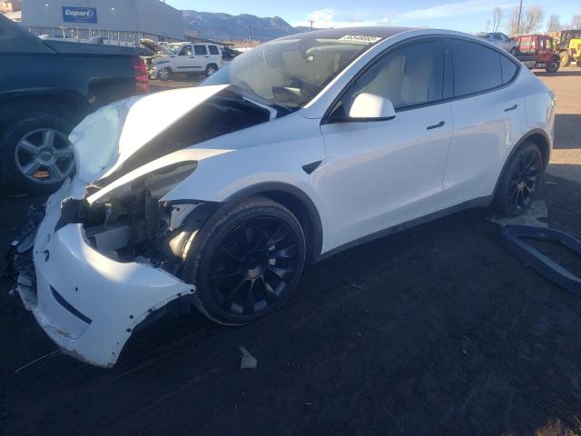 TESLA MODEL Y 2022 with VIN 7SAYGDEE3NF427758 - Photo from auction
