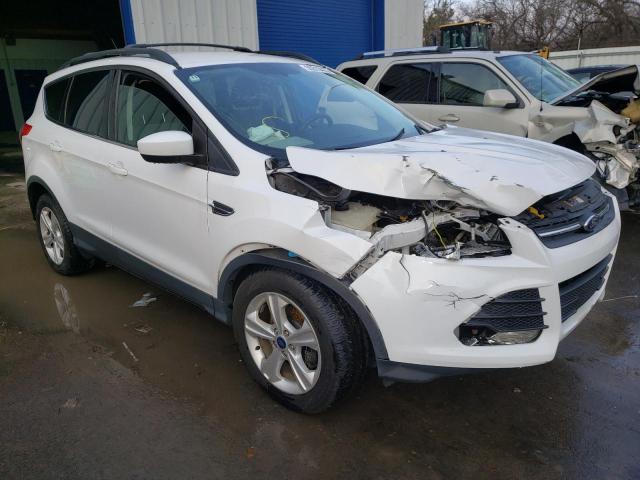 Photo 4 from auction – 2014 FORD ESCAPE SE with VIN 1FMCU0GX1EUA39633