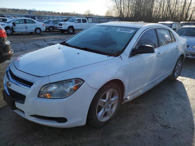 CHEVROLET MALIBU 2010 with VIN 1G1ZA5E07AF290450 - Photo from auction