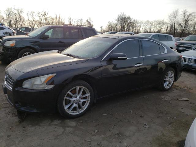 NISSAN MAXIMA S 2010 with VIN 1N4AA5AP6AC835262 - Photo from auction