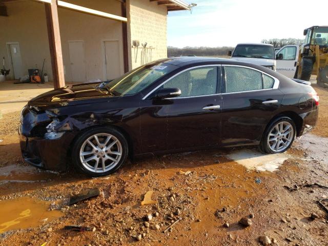 NISSAN MAXIMA S 2010 with VIN 1N4AA5AP8AC859188 - Photo from auction