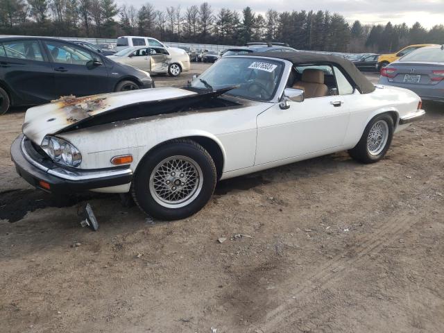 JAGUAR XJS 1990 with VIN SAJNW4841LC172027 - Photo from auction