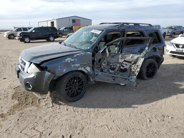 FORD ESCAPE XLT 2008 with VIN 1FMCU03Z98KD32381 - Photo from auction