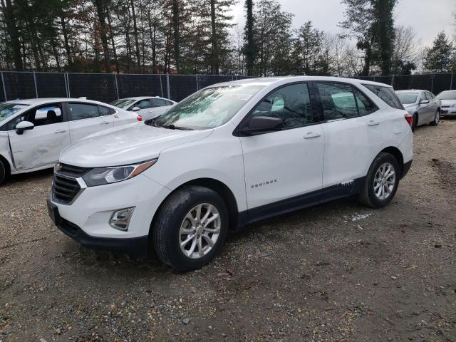 CHEVROLET EQUINOX LS 2019 with VIN 2GNAXSEV6K6109516 - Photo from auction