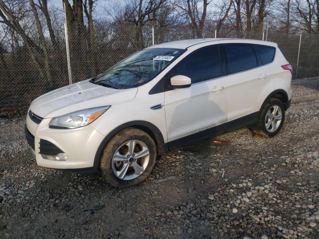 FORD ESCAPE SE 2013 with VIN 1FMCU0G92DUC22099 - Photo from auction