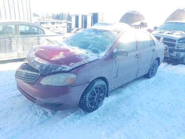 TOYOTA COROLLA CE 2008 with VIN 2T1BR32EX8C873930 - Photo from auction