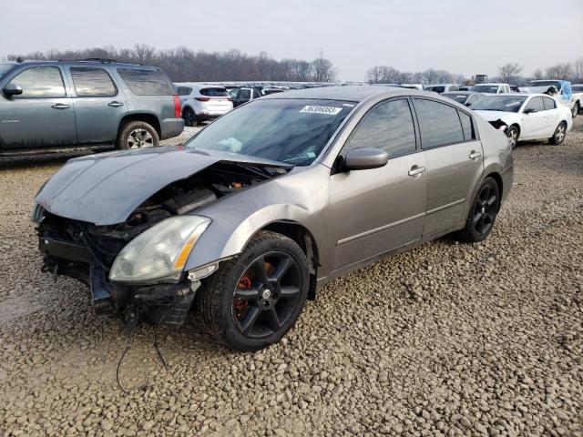 NISSAN MAXIMA SE 2005 with VIN 1N4BA41E35C873566 - Photo from auction
