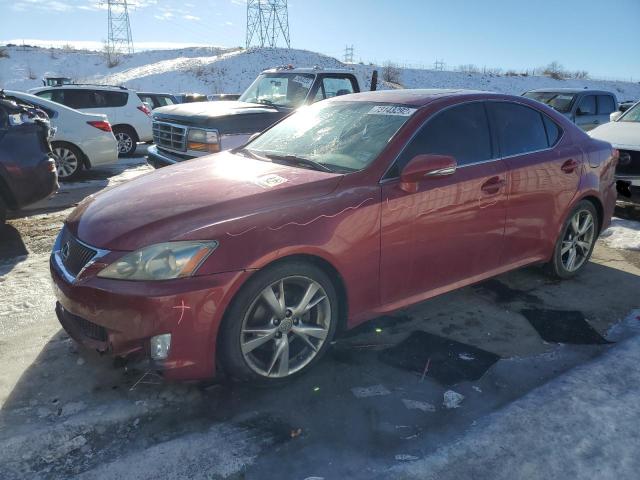 LEXUS IS 250 2009 with VIN JTHBK262995089024 - Photo from auction