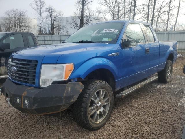 FORD F150 SUPER 2014 with VIN 1FTFX1EF3EFB91698 - Photo from auction