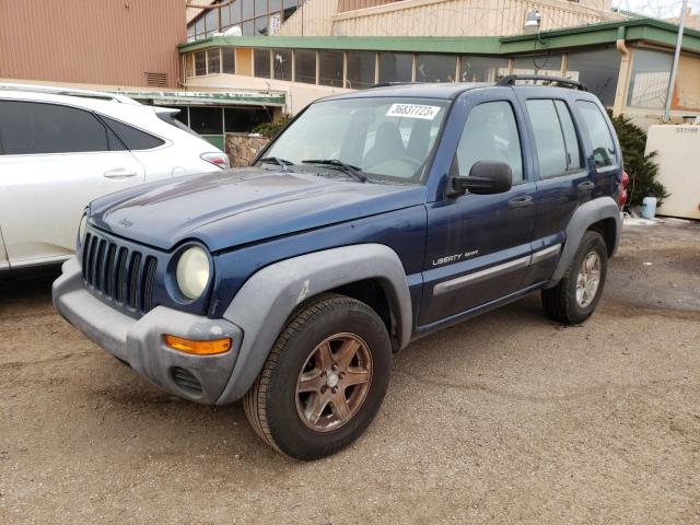 JEEP LIBERTY SP 2003 with VIN 1J4GK48K13W600673 - Photo from auction