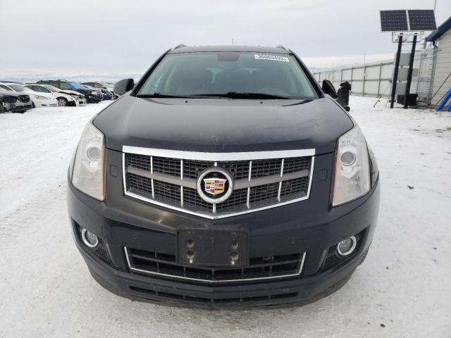 Photo 5 from auction – 2011 CADILLAC SRX PREMIU with VIN 3GYFNFEY3BS541532
