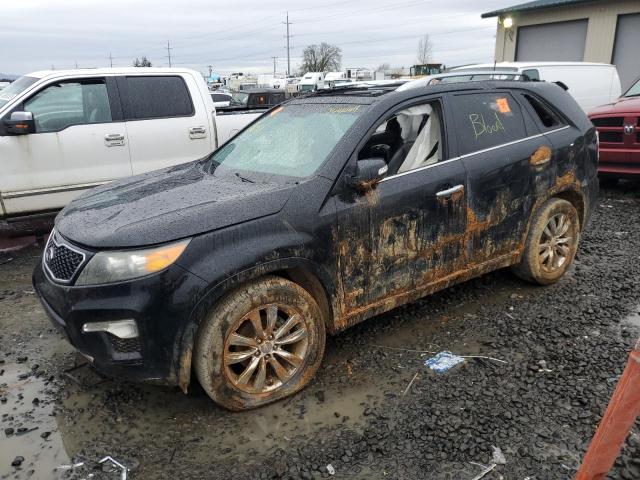 KIA SORENTO SX 2011 with VIN 5XYKWDA20BG111885 - Photo from auction