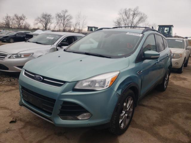 FORD ESCAPE SEL 2013 with VIN 1FMCU0HX2DUC77830 - Photo from auction