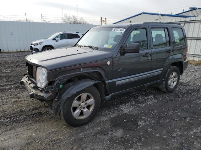 JEEP LIBERTY SP 2011 with VIN 1J4PN2GK5BW502273 - Photo from auction