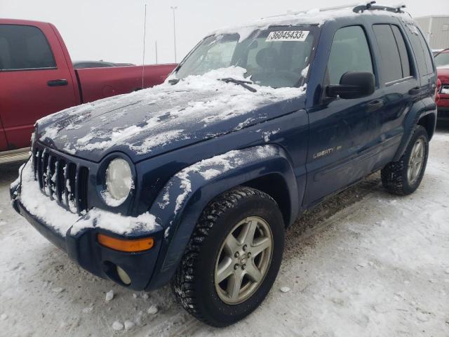 JEEP LIBERTY LI 2003 with VIN 1J4GL58K83W521472 - Photo from auction