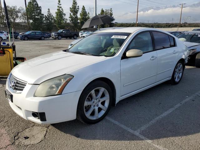 NISSAN MAXIMA SE 2008 with VIN 1N4BA41E68C823216 - Photo from auction
