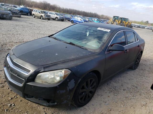 CHEVROLET MALIBU LS 2010 with VIN 1G1ZA5E05AF285666 - Photo from auction