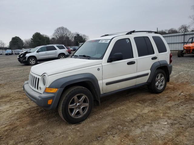 JEEP LIBERTY SP 2007 with VIN 1J4GL48K77W520989 - Photo from auction