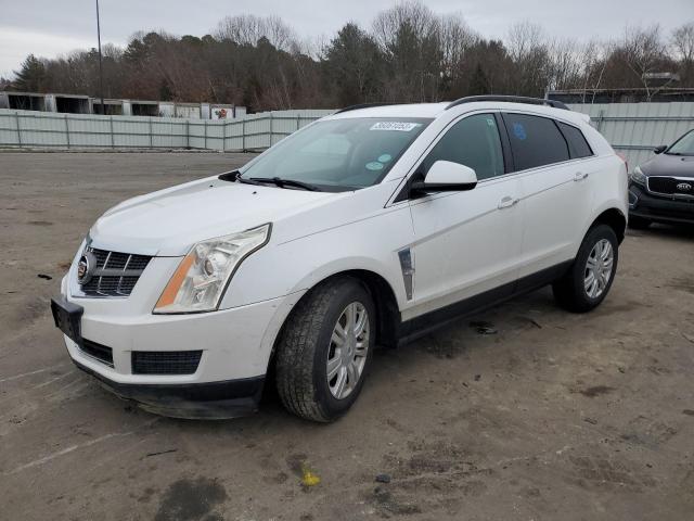 CADILLAC SRX 2011 with VIN 3GYFNGEYXBS612182 - Photo from auction