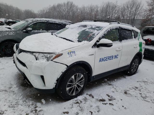 TOYOTA RAV4 2018 with VIN JTMRJREV0JD228524 - Photo from auction