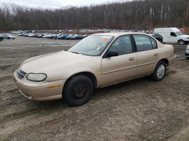 CHEVROLET MALIBU 2002 with VIN 1G1ND52J12M684509 - Photo from auction