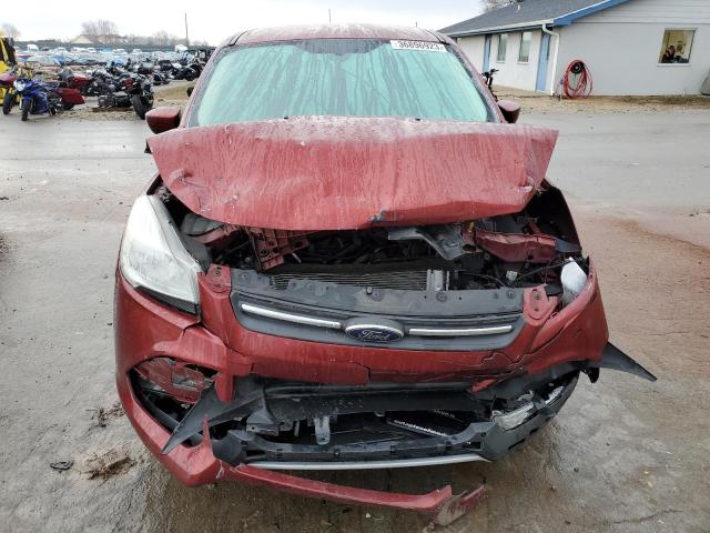 Photo 5 from auction – 2014 FORD ESCAPE SE with VIN 1FMCU0GX2EUC09529