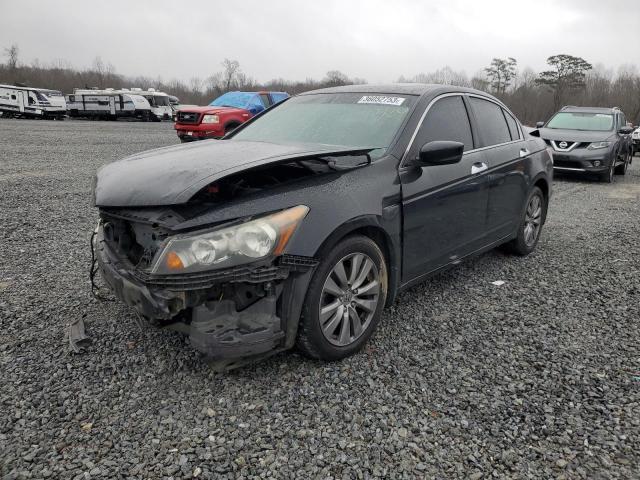HONDA ACCORD EXL 2011 with VIN 1HGCP3F81BA031702 - Photo from auction
