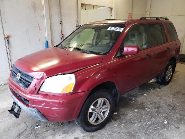 HONDA PILOT EXL 2005 with VIN 5FNYF18595B065896 - Photo from auction