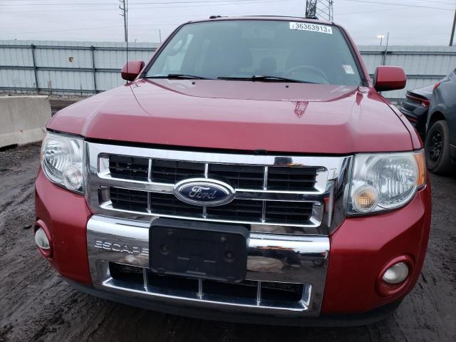 Photo 5 from auction – 2010 FORD ESCAPE LIM with VIN 1FMCU9EGXAKC78272
