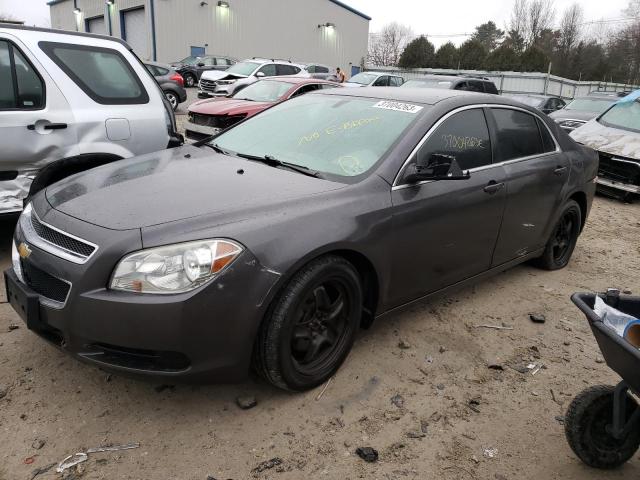 CHEVROLET MALIBU LS 2011 with VIN 1G1ZB5E17BF279648 - Photo from auction