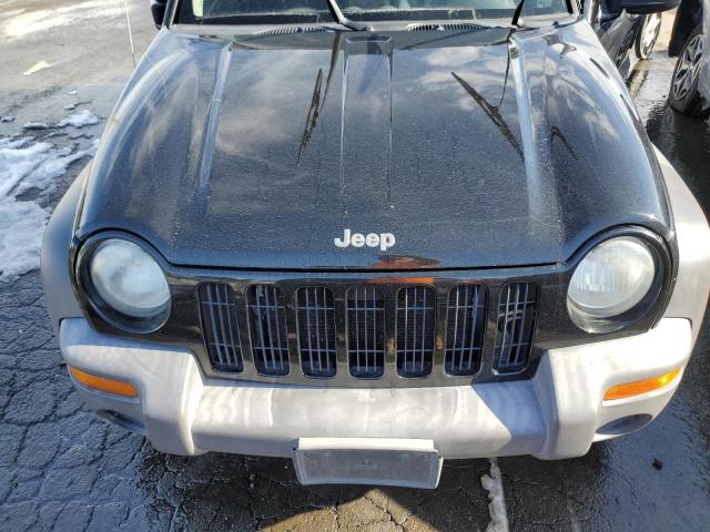 Photo 12 from auction – 2002 JEEP LIBERTY SP with VIN 1J4GL48152W229942