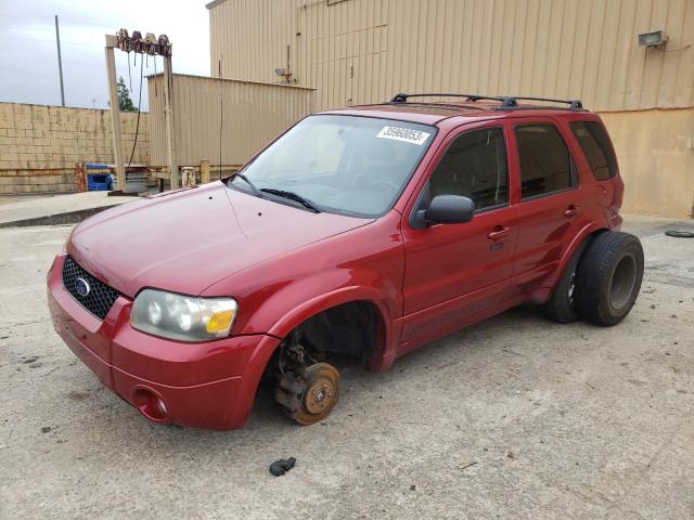 FORD ESCAPE LIM 2007 with VIN 1FMYU941X7KA13511 - Photo from auction