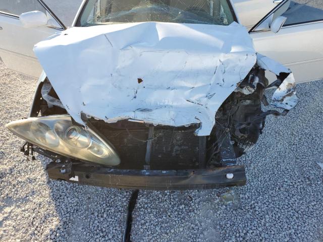 Photo 11 from auction – 2006 LEXUS ES 330 with VIN JTHBA30G165144350