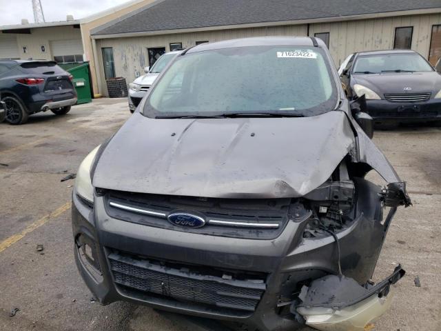 Photo 5 from auction – 2014 FORD ESCAPE SE with VIN 1FMCU0GX2EUC23446